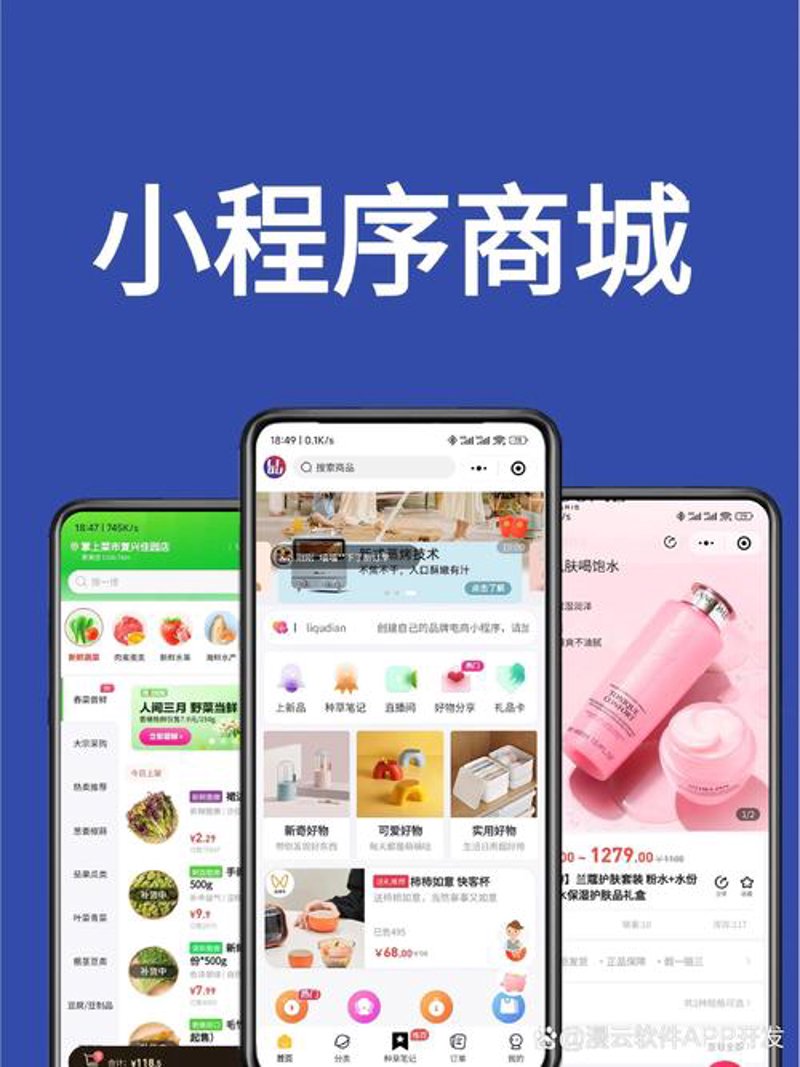 信息技术行业的上海风华