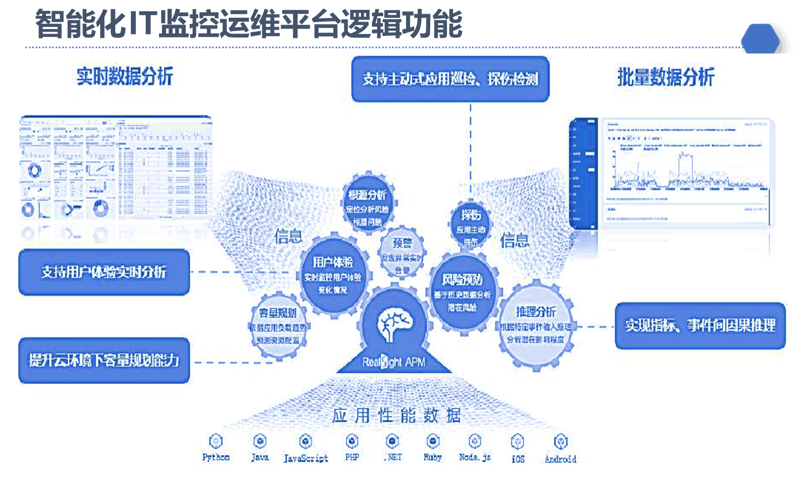 上海信息技术公司的创新与挑战：数字化转型之路